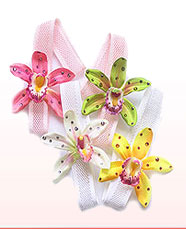 Orchid babyband